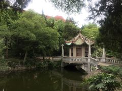 -叶家花园