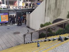 -九龙公园