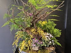 -石家庄市植物园