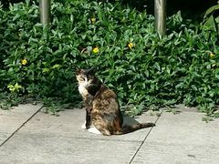 -北海市海滨公园