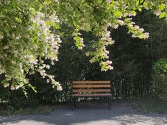 -皇家御河游(紫御湾码头)