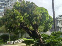 -福建师范大学(仓山校区)