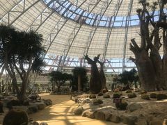 -芽庄珍珠岛游乐园