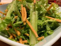 苦菊拌散子-驿楼兰·新疆菜(火车站店)