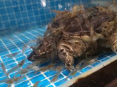 -健眺小海鲜(临海后山店)