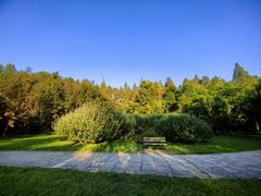 -上海共青森林公园