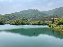 -龙坞茶村