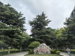 -渭滨公园