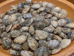 -龍歌自助小火锅(市南金茂湾店)