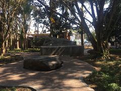 -瑞丽独树成林风景区