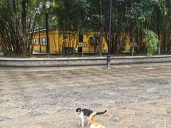 -西园戒幢律寺