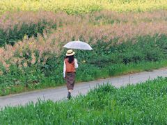 -三圣花乡旅游区