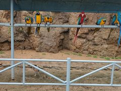 -西霞口神雕山野生动物世界