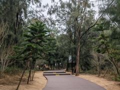-大京沙滩