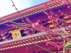 -庐山风景名胜区-东林大佛