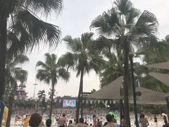 -重庆海昌加勒比海水世界