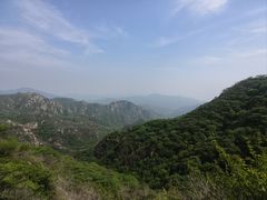 -大岭沟猕猴桃谷风景区