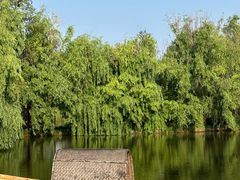 -月亮湾湿地公园