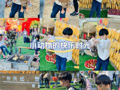 -北戴河集发农业梦想王国