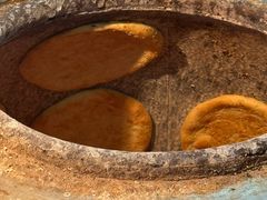 -大家乐(东莞虎门店)