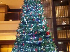 -舟山希尔顿酒店