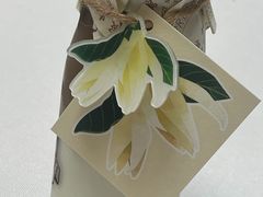 -THE PRESS(申报馆店)
