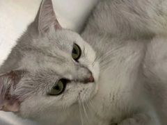 -宠颐生宠物医院·骨外科·犬猫全科诊疗中心(池州店)