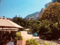 -香港大学