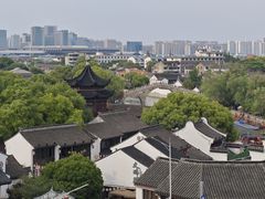 -顽啤熊·酒客酒馆(苏城夜景必选店)