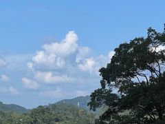 -广州市流溪河国家森林公园