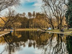 -上海共青森林公园