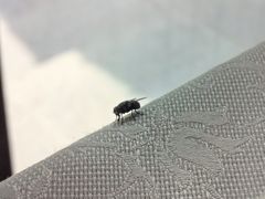 -老浒记民俗酒楼(王府井店)