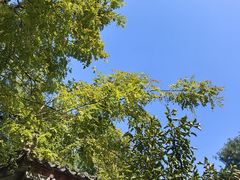 -湘子庙