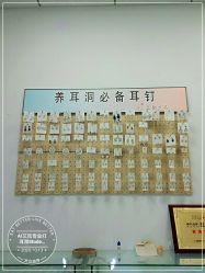 -AI艾耳·专业手工耳洞·穿孔美学馆