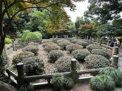 -十八棵（老龙井）御茶园(老龙井店)