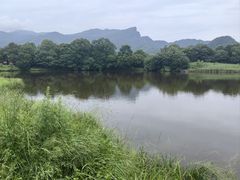 -大九湖
