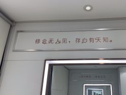 -镁连社·美联社