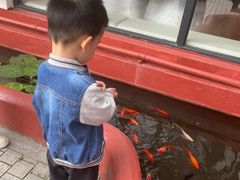 -杭州龙井幼儿园