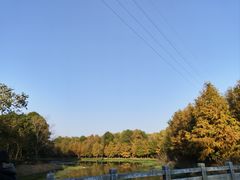 -上海海湾国家森林公园