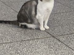 -谜盒子奇幻密室(南屏店)