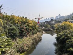 -张坝桂圆林公园