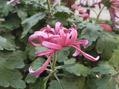 -共青国家森林公园-售票处