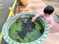 -广州莲花山旅游区