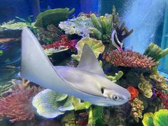 -成都浩海立方海洋公园