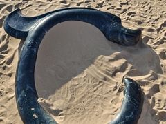 -玉龙沙湖景区