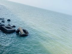 -东疆建设开发纪念公园