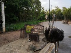 -清迈夜间动物园