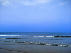 -日照海滨国家森林公园
