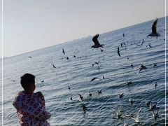 -滇池海埂公园