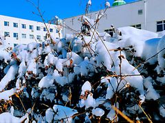 -长春市南湖公园